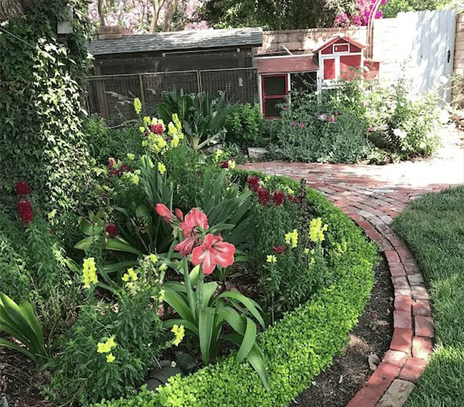 English garden with path