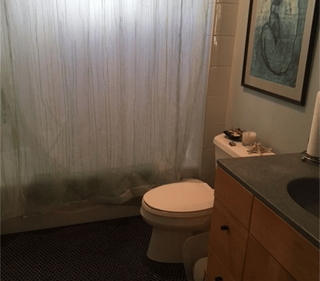 Furnished Finder property 273676_1 photo 16