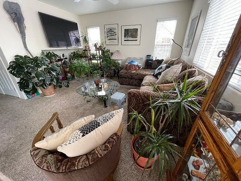 Family room with large TV and tons of plants.