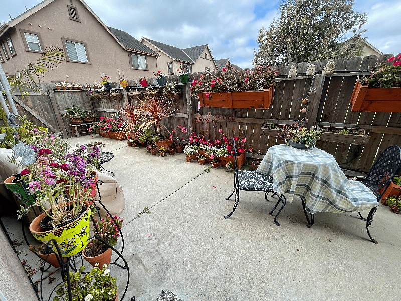Furnished Finder property 273681_2 photo 15
