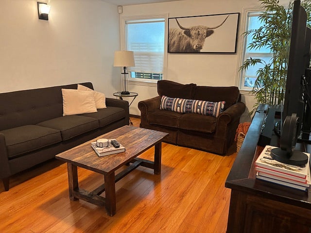 Furnished Finder property 273922_1 photo 5