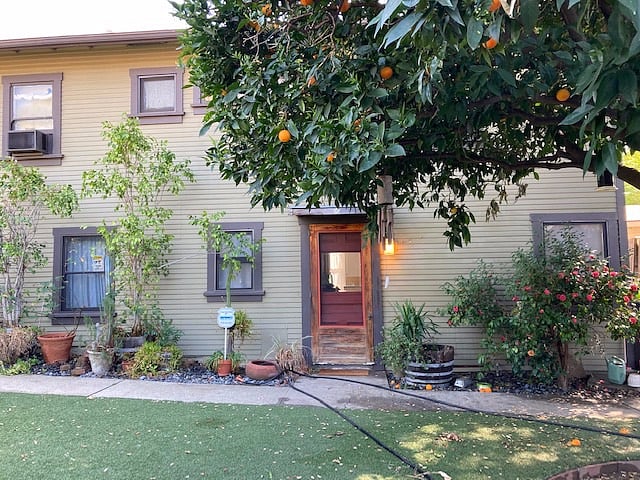 Furnished Finder property 273922_1 photo 17