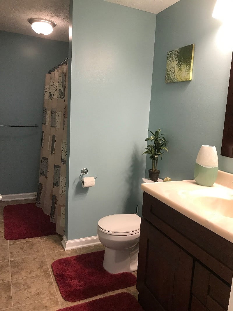 Furnished Finder property 274118_1 photo 20