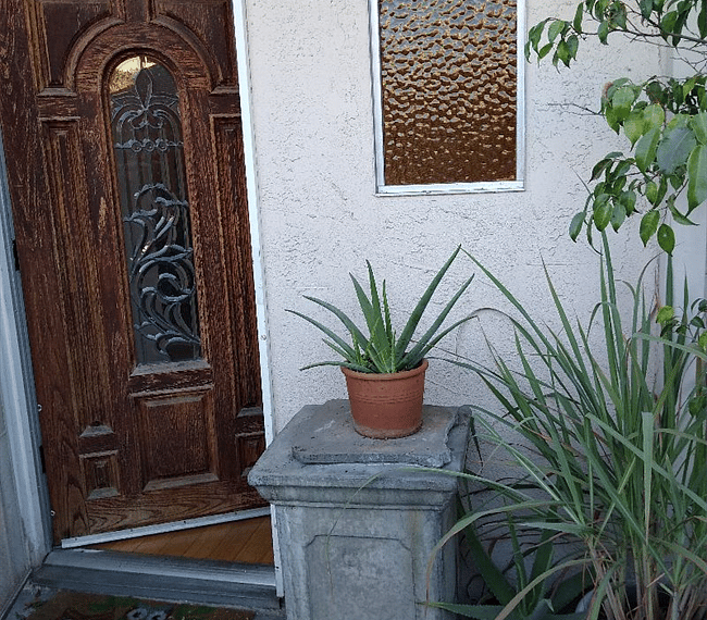 Furnished Finder property 274262_1 photo 8