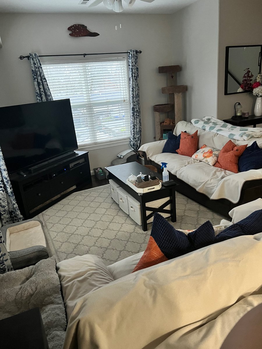 Furnished Finder property 274302_1 photo 10