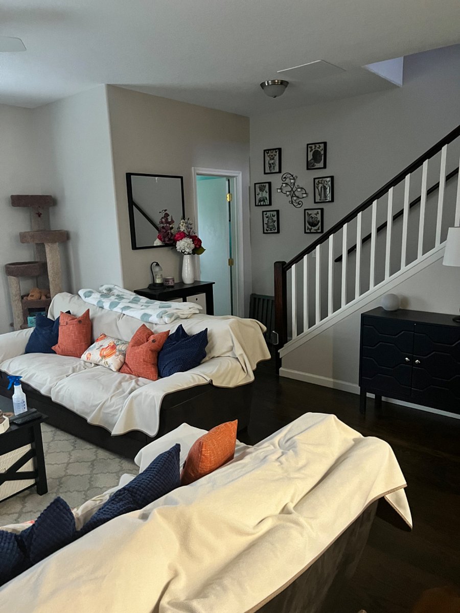 Furnished Finder property 274302_1 photo 11
