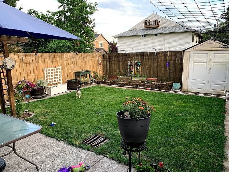 Backyard