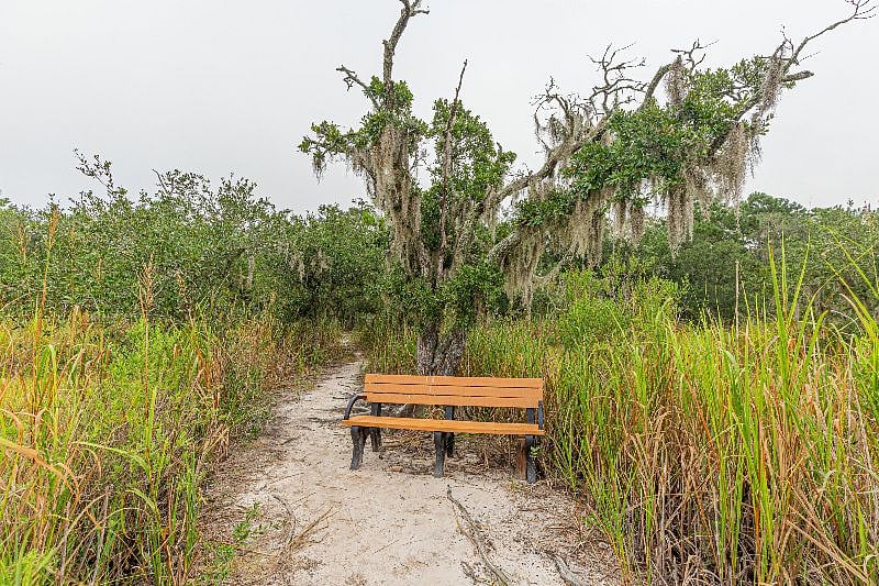 Furnished Finder property 274453_1 photo 35