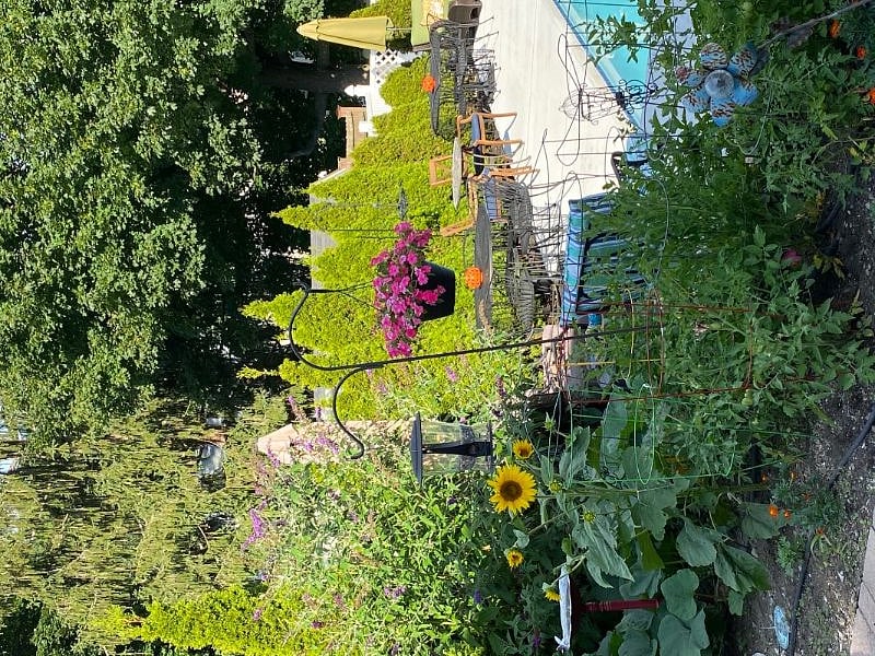 Furnished Finder property 274590_2 photo 17