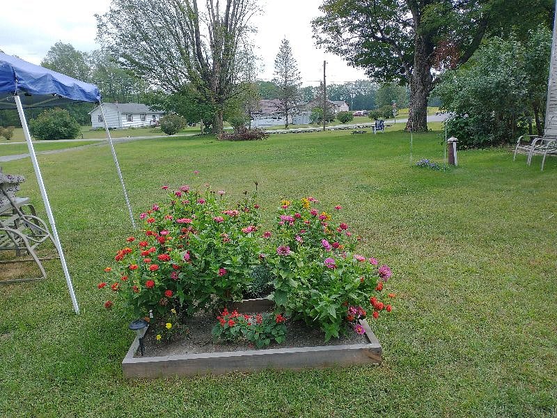 Furnished Finder property 274608_1 photo 25