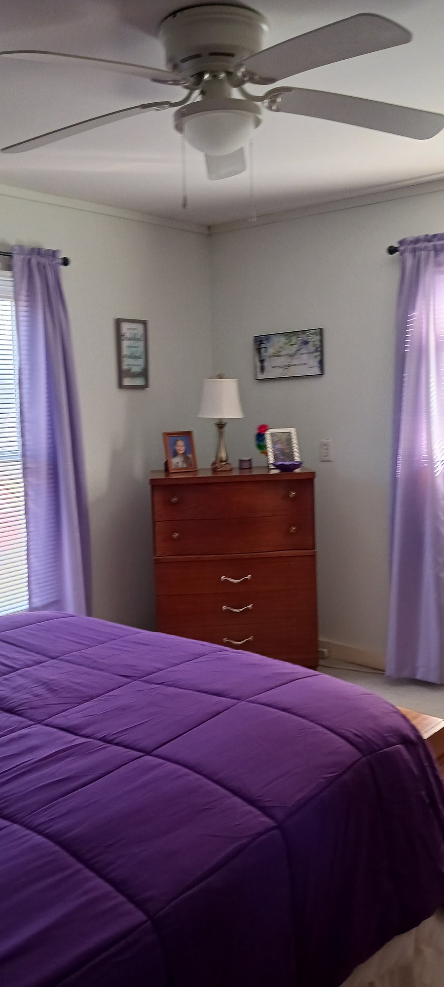 Furnished Finder property 274608_1 photo 31