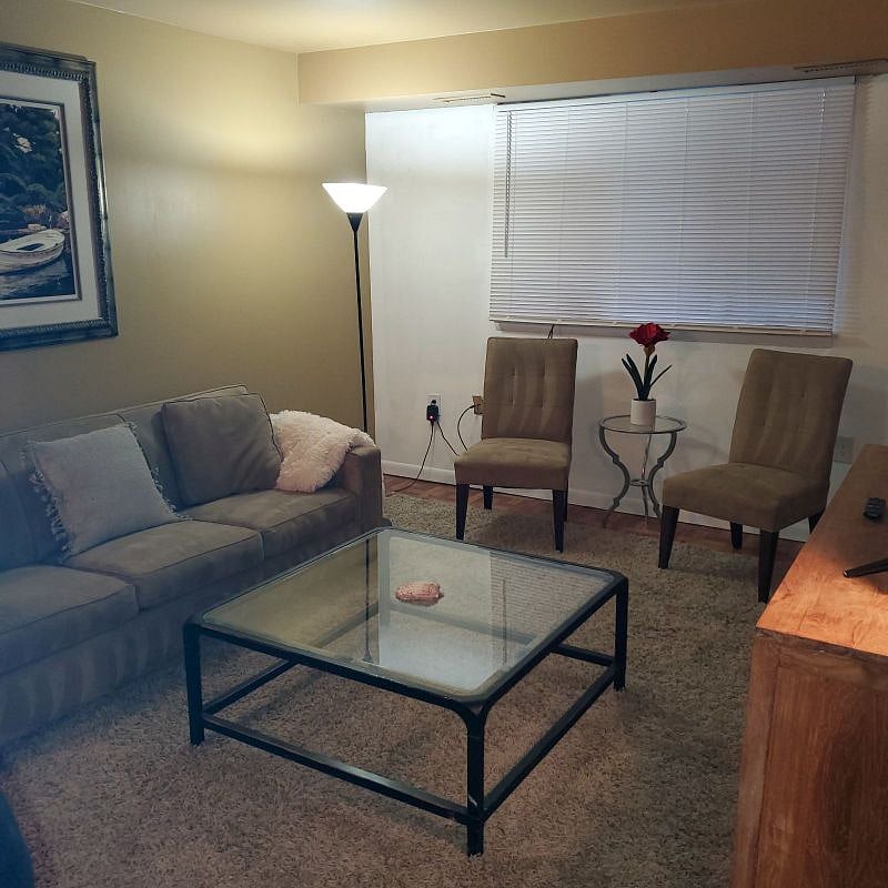 Furnished Finder property 274873_2 photo 8