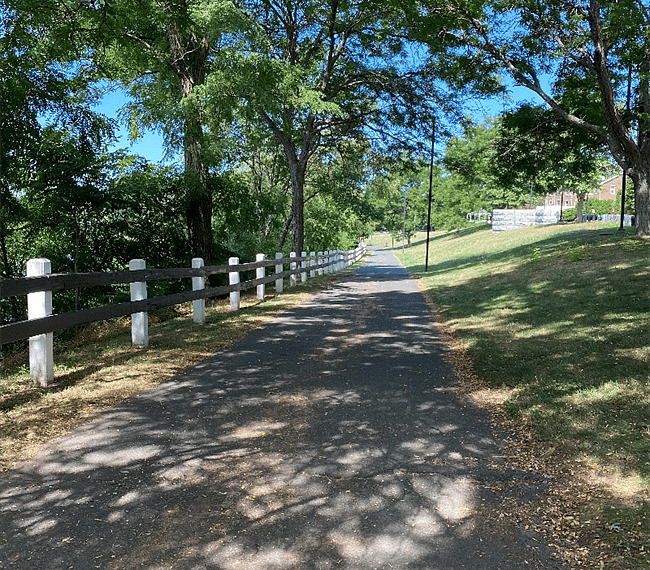 Morning walk to Mary O' Mally's State Park, just around the corner
