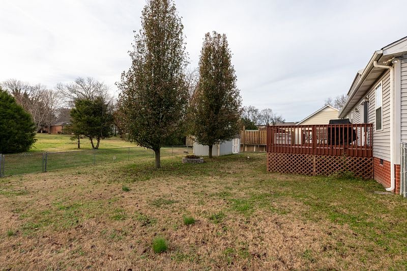 Back yard