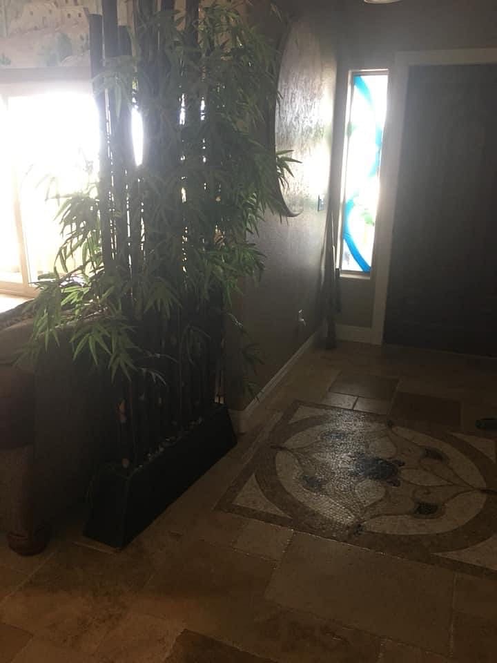 Furnished Finder property 275182_2 photo 6
