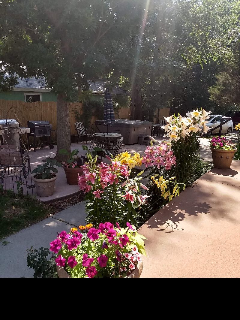 Over hundred different flowers in the gardens around the property.