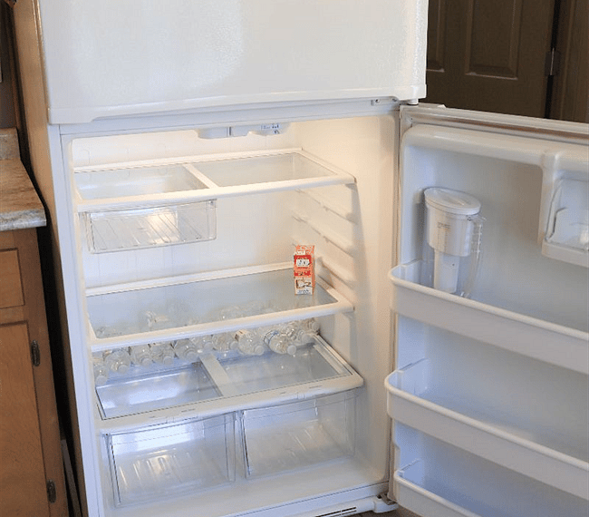 Full size Frigerator and Freezer