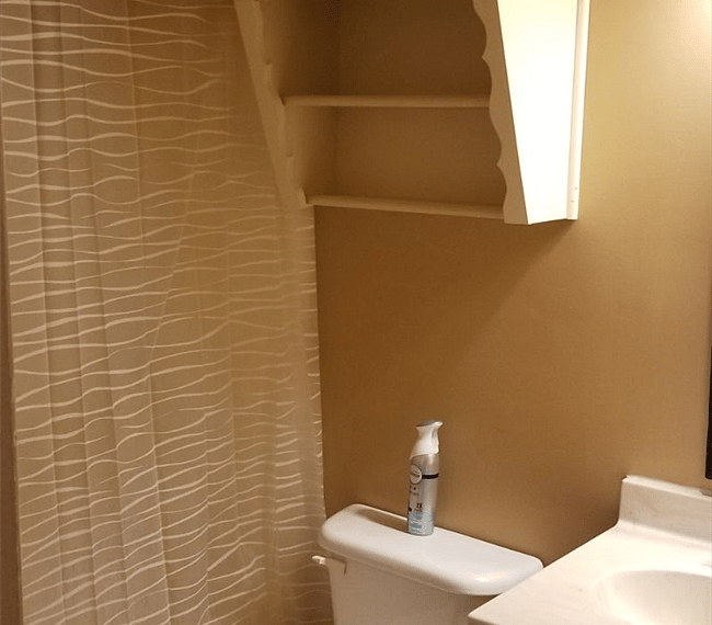 Furnished Finder property 275566_1 photo 24