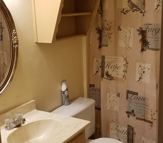 Furnished Finder property 275566_1 photo 25