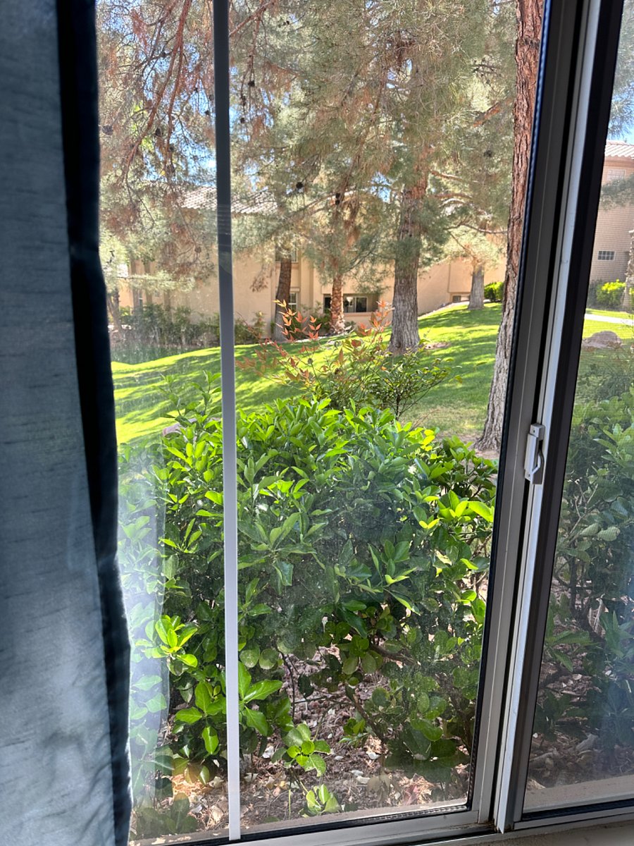 Beautiful & Private View from Bdr #2 Into a pretty green are with mature trees