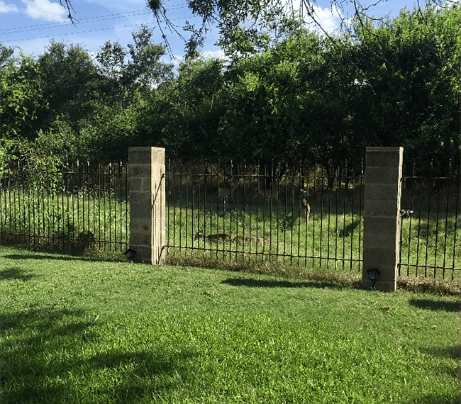Backyard View.