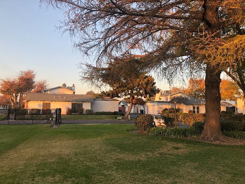 Park-like grounds