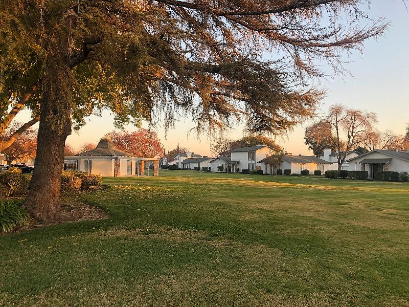 Park-like grounds