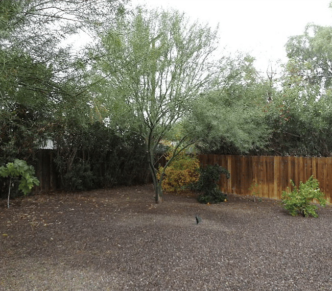 Furnished Finder property 276059_1 photo 17