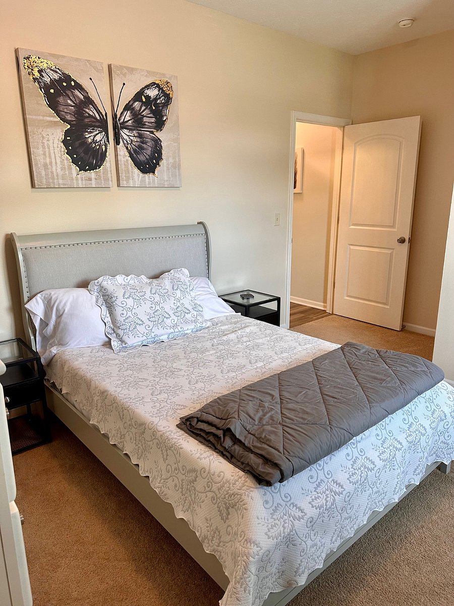 Furnished Finder property 276112_2 photo 17