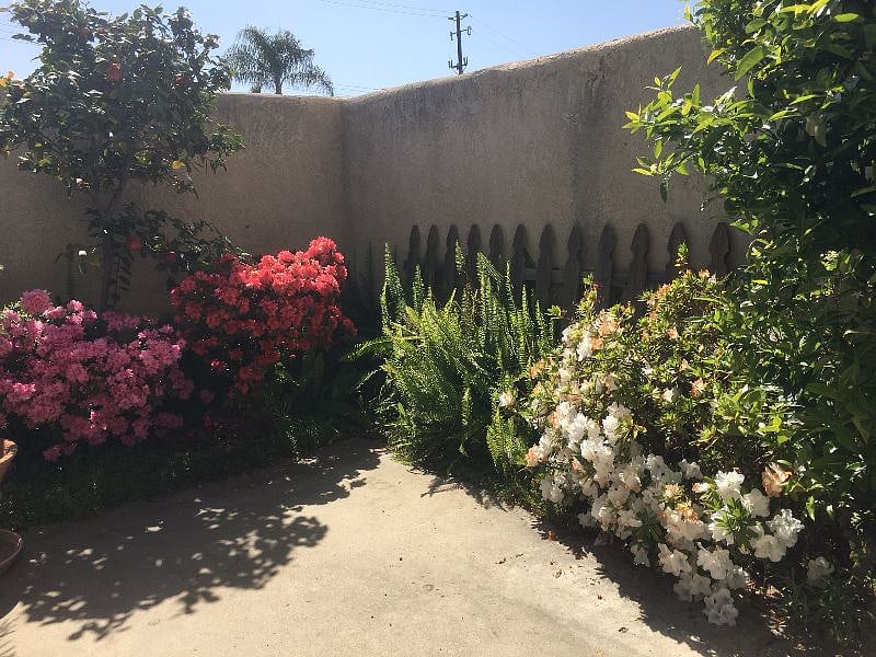 Furnished Finder property 276204_3 photo 18