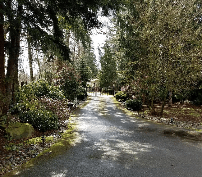 Driveway heading out the Gate