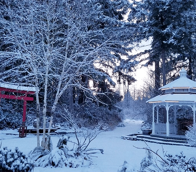 The view of the Gazebo, Pond, and Torri Gate Behind my House. The Kimono house is located to the right of me.