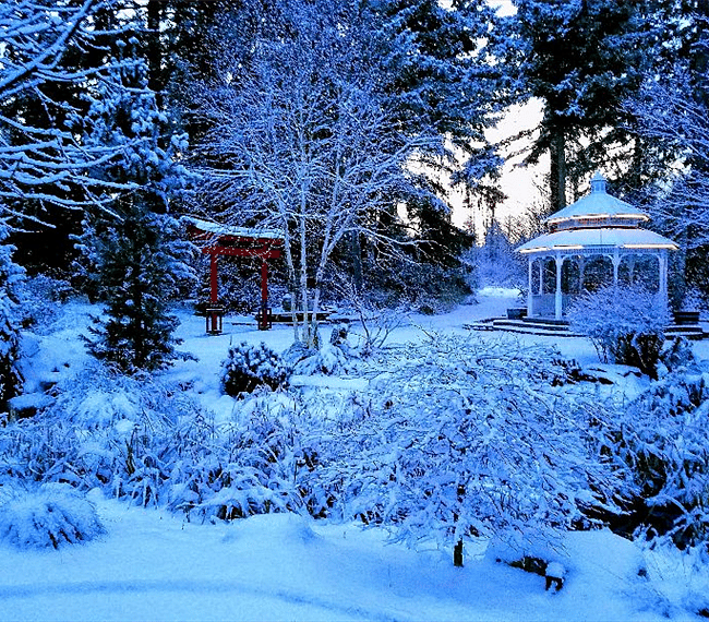 Winter Wonderland, it is absolutely gorgeous when it snows in ZenQuility.