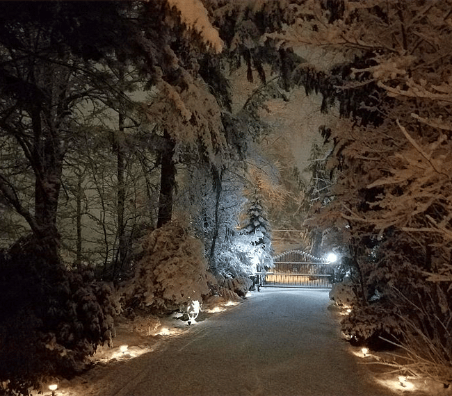 Magical Frozen Driveway heading out the Front Gate