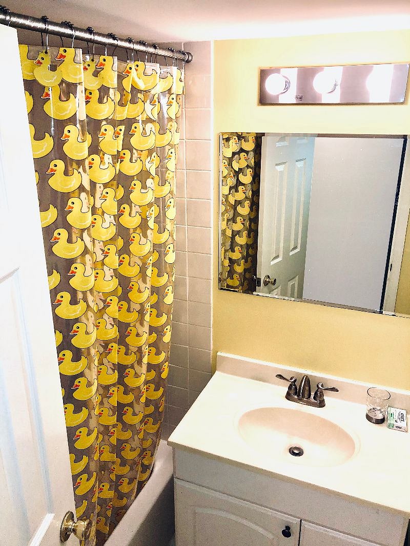 Bathroom shower and bathtub
