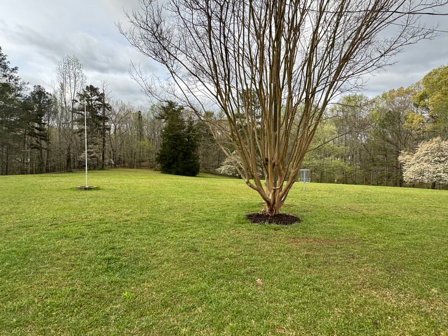 Furnished Finder property 276436_1 photo 15