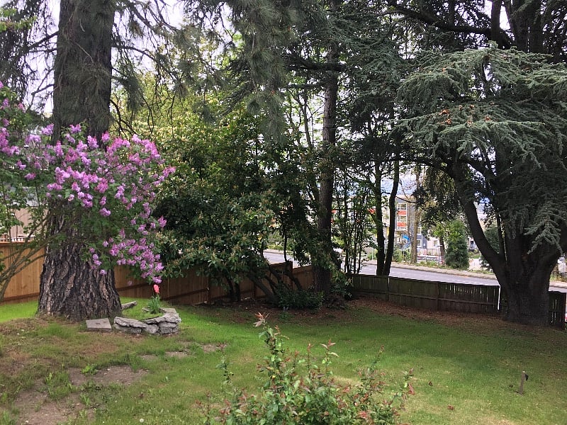 View of the front yard from the house entrance.