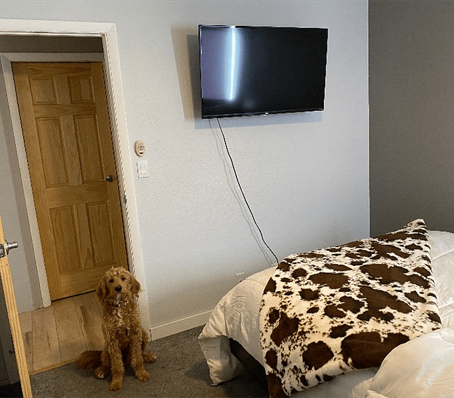 Furnished Finder property 276657_1 photo 7