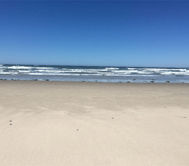 A sandy, pet friendly, leash-free beach is a short stroll away. 
