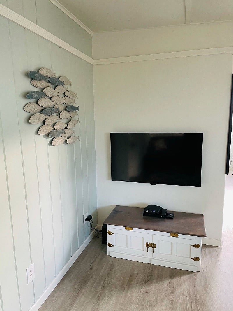 Flat screen TV with streaming services