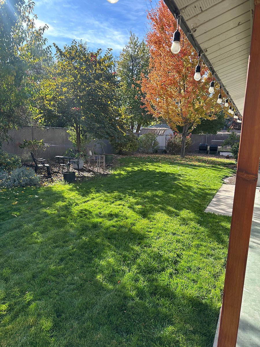 Furnished Finder property 276780_1 photo 28