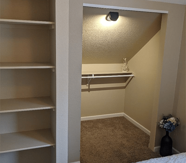 Bedroom closet and big shelves