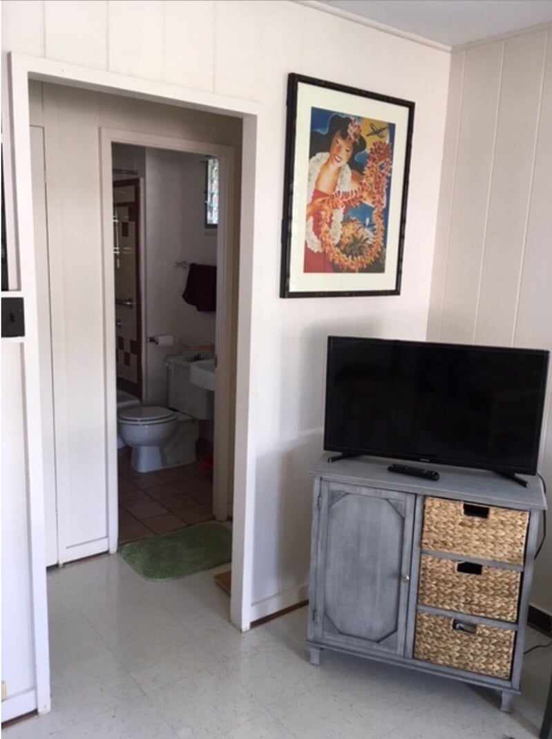 entry to hallway to bathroom, linen closet and bedroom 