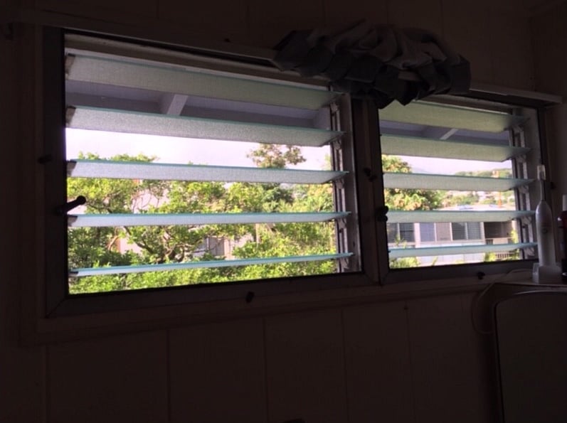 Bathroom window 