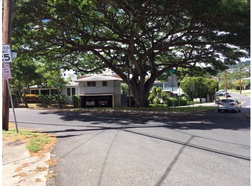 The Sparrows Nest, nestled under the shade and protection of Grandpa Banyan, this view is from the beach or Ala Moana shopping mall headed to the mountains, 