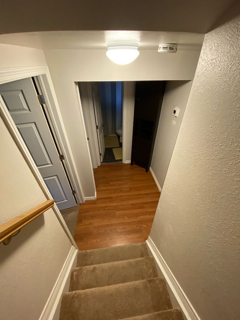 Furnished Finder property 277256_1 photo 13