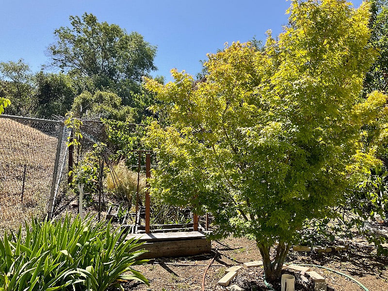Furnished Finder property 277354_2 photo 16