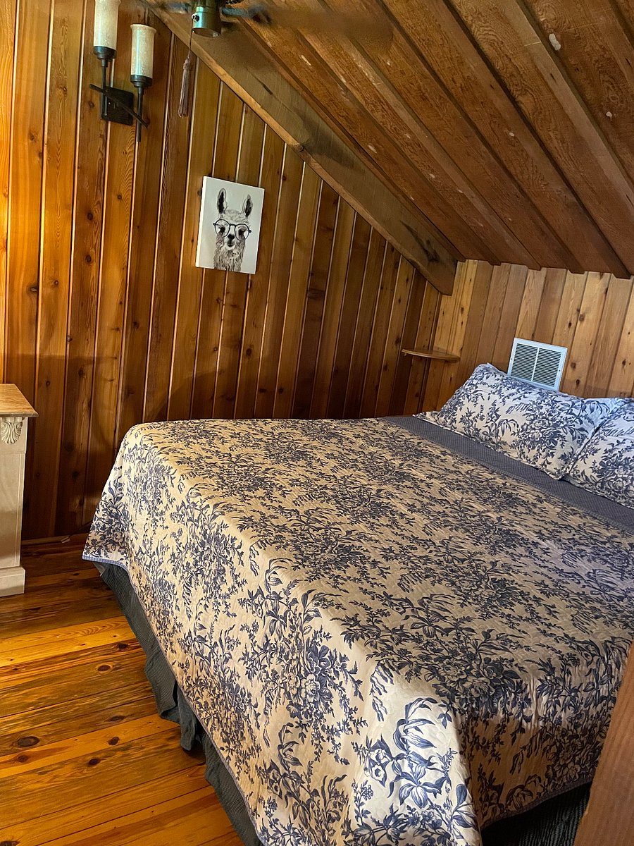 Furnished Finder property 277452_1 photo 15