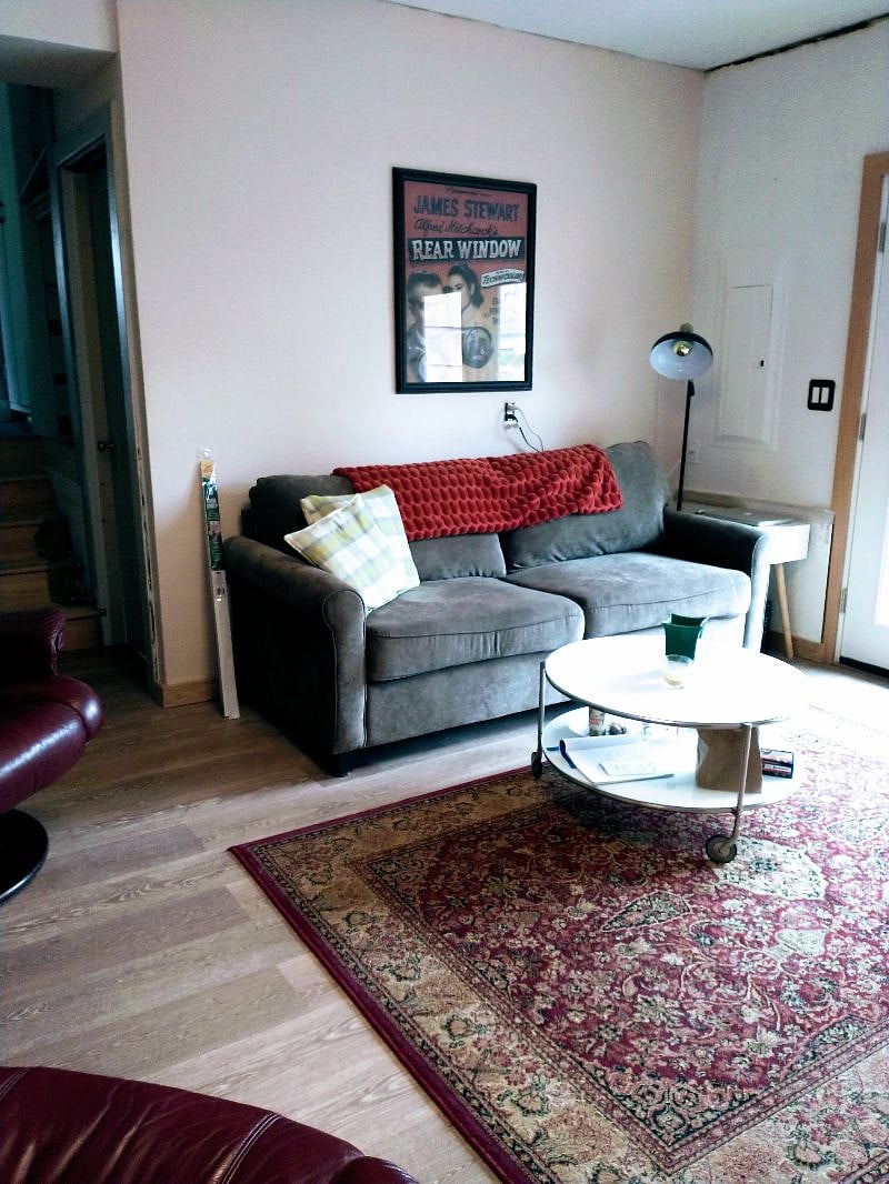 hide-a-bed couch and movie screen