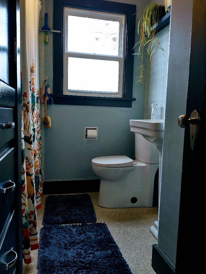 Furnished Finder property 277483_1 photo 19